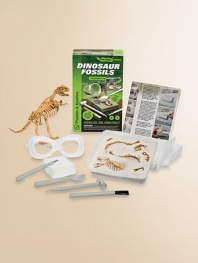 Aspiring paleontologists can fossilize, dig up, and reconstruct a dinosaur skeleton replica with this fascinating kit.Learn how fossils form, are excavated, and how dinosaur bones are pieced togetherRecreate the process of fossilization by burying your dinosaur bones in layers of plaster rock