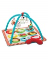 Skip Hop's whimsical, graphic activity mat features soft arches and a matching quilted Tummy Time pillow. 12 easy-to-hang loops and 5 hanging toys offer irresistible multi-sensory play for baby at every stage of development. Plus textures and squeaky sounds on the mat surface add to the fun!