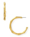 Made a luxe nod to nature with Kenneth Jay Lane's gold-plated hoops. Inspired by bamboo, these earrings add statement sparkle whether worn casually or dressed to the nines.