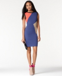 Go bold in this graphic colorblocked Rachel Rachel Roy shift dress! The classic shape is ideal for desk-to-dinner looks!