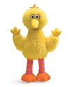 Add some color and cuteness to your child's life with a miniaturized Big Bird doll. Plush and super soft.