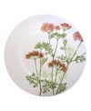 A natural for casual dining, the Althea Nova salad plate by Villeroy & Boch features durable porcelain planted with delicate herbs for a look that's fresh from the garden. With green trim.