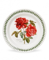 For the discerning china collector of naturalist on your gift list, the Botanic Garden salad plate by Portmeirion presents six different botanical motifs: Teasing Georgia, Warm Wishes, Scarborough Fair, Portmeirion, Fragrant Cloud and Polar Star. Each is realistic in its details, as well as beautifully and colorfully rendered.