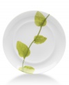 Forever spring. Bright new leaves plucked just for your table drape this bread and butter plate with a fresh, modern design. From Mikasa dinnerware, the dishes are durable and stylish in white porcelain with a uniquely sloped rim and raised interior.