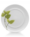 Forever spring. Bright new leaves plucked just for your table drape these dinner plates in a fresh, modern design. From Mikasa dinnerware, the dishes are durable and stylish in white porcelain with a uniquely sloped rim and raised interior.