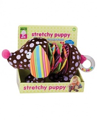 Stretch the puppy and see his colorful body crinkle and grow! Squeak his soft nose and rattle his tail. Crinkle, rattle and squeak offer multiple sensory exploration.