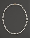Cultured, freshwater pearl necklace.
