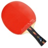 DHS Table Tennis Racket #X4002, Ping Pong Paddle, Table Tennis Racquets - Shakehand