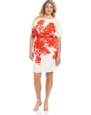 Jessica Howard Women's Plus-Size Dolman Sleeve Smock Waist Blouson Dress