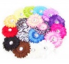 Ema Jane - Large Gerber Daisy Flower Hair Clips Only (16 Flowers, Headbands NOT Included) - Will Fit Infants, Baby, Toddlers, Girls, Youth, Newborn