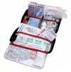 AAA 121-Piece Road Trip First Aid Kit