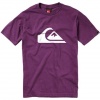Quiksilver - Boys Mountain Wave Bt0 Qe7 T-Shirt, Size: X-Large, Color: Plum