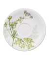 A natural for casual dining, the Althea Nova after-dinner saucer by Villeroy & Boch features durable porcelain planted with delicate herbs for a look that's fresh from the garden.