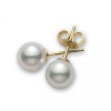 14k Gold 8-9mm Perfect Round White Cultured Freshwater Pearl High Luster Stud Earring AAA Quality. (Yellow-gold)