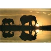(24x36) Jim Zuckerman African Silhouette Elephants Art Print Poster