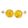 Anya: 10mm Natural Baltic Honey Amber Ball Stud Post Earrings, 925 Sterling Silver