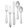 Waterford Ballet Icing Stainless Steel 5-Piece Place Setting, Service for 1