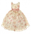 Kids Dream Toddler Girls 4T Vintage Rose Organza Floral Easter Dress