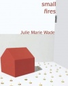 Small Fires: Essays (Linda Bruckheimer Series in Kentucky Literature)