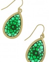 TRENDY FASHION JEWELRY TRANSPARENT COLOR TEARDROP EARRINGS BY FASHION DESTINATION