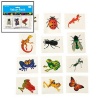 Fun Express Nature Temporary Tattoos - Insects & Reptiles (6 Dozen)