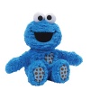 Sesame Street GUND Cookie Monster Plush Stuffed Toy
