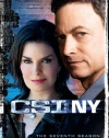 CSI: NY: Season 7