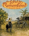 A Land Remembered, Volume 2