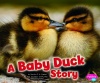 A Baby Duck Story (Baby Animals)