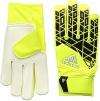 Ace Junior Goalie Glove
