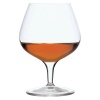 Luigi Bormioli Michelangelo 13.25 oz. Brandy Glass - Set of 4