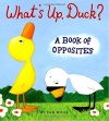 What's Up, Duck?: A Book of Opposites (Duck & Goose)