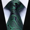 Dan Smatree Green Navy Blue Paisley 3.4Silk Jacquard Woven Men Tie Necktie