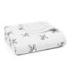 Limited edition aden + anais dream blanket, 10th anniversary