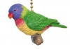 Tropic Rainbow Lory Lorikeet Parrot Ceiling Fan Light Pull