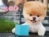 Boo: The Life of the World's Cutest Dog