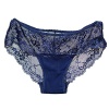 Women's Nylon Soft Sheer Lace Hi Cut Brief Mid Rise Panties, Plus Size Available (14-16, Navy)