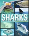 Sharks (Discovery Kids)